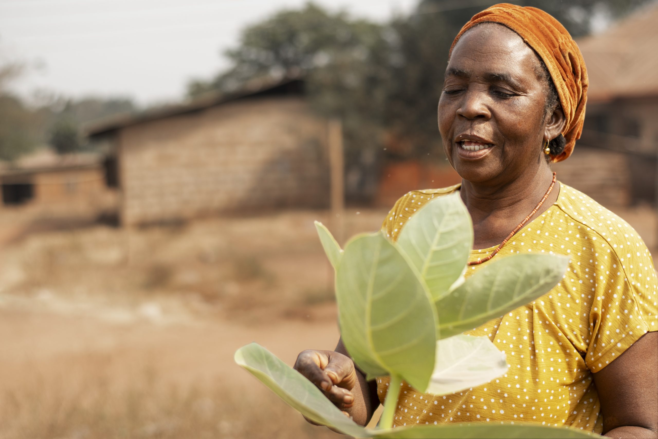 Woman holding a young plant